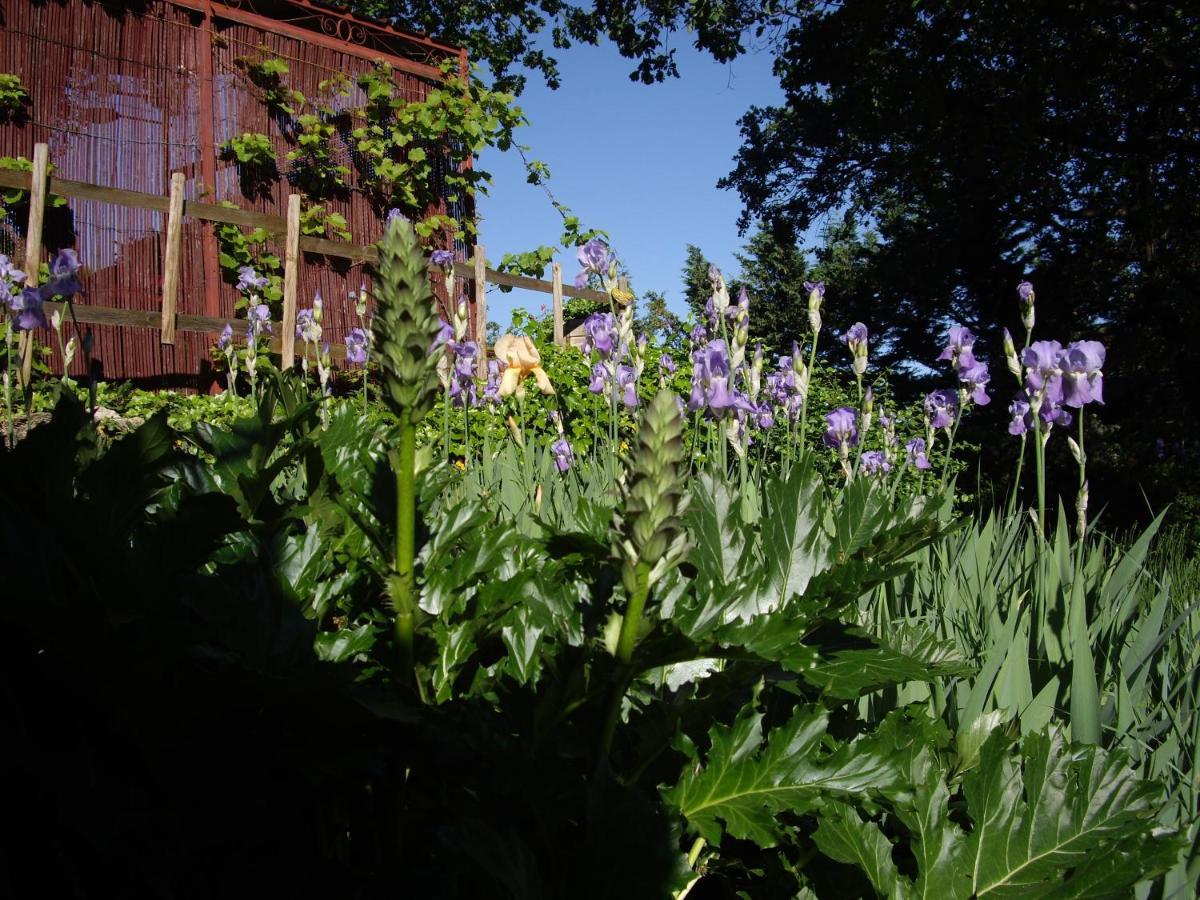 La Bastide De Mauragne - Gite Les Iris Apt Exterior foto